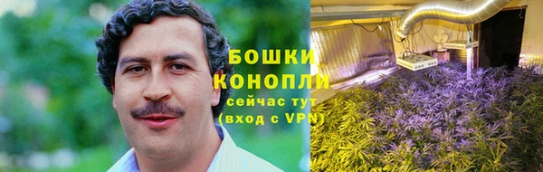 сатива Абаза
