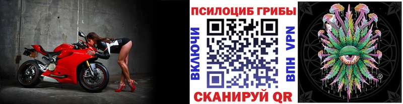 Галлюциногенные грибы Magic Shrooms  как найти   Ак-Довурак 